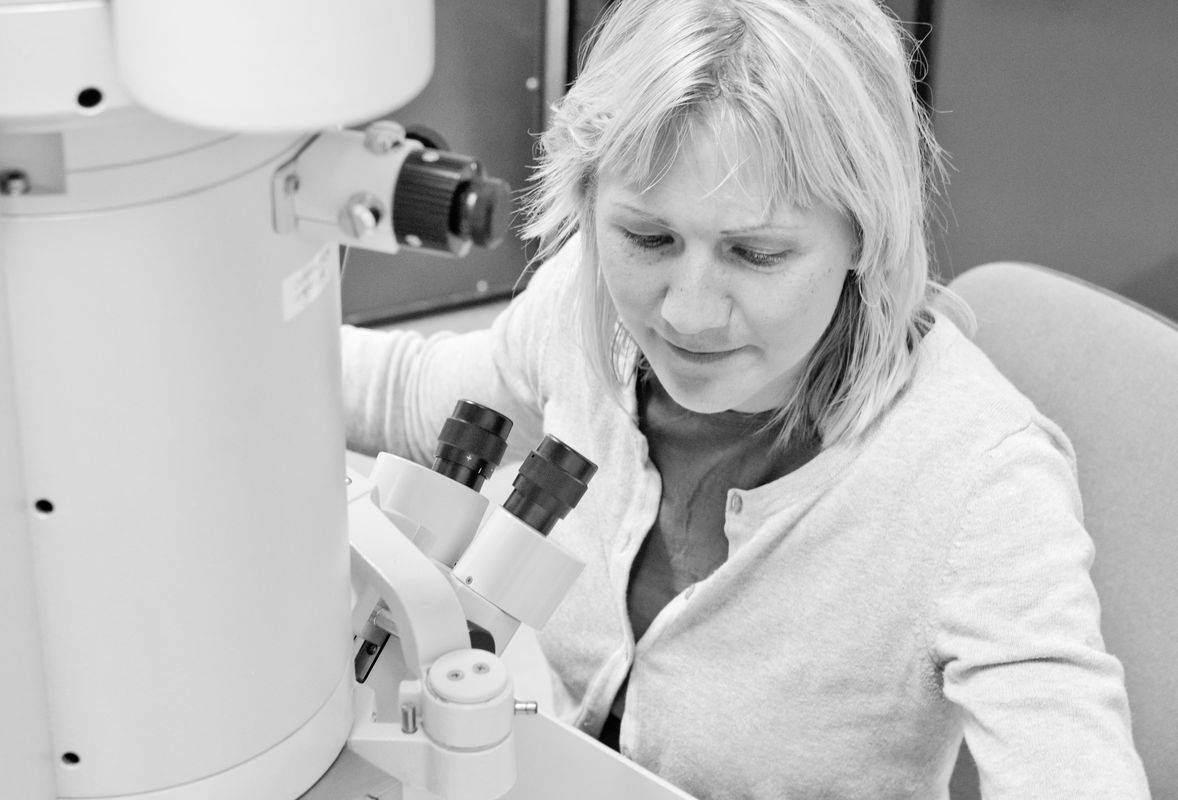 Electron Microscopy Suite